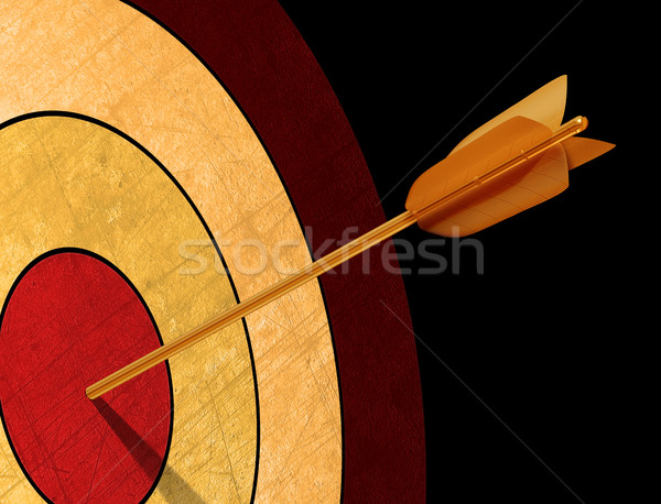 Hitting targets Stock photo © paulfleet