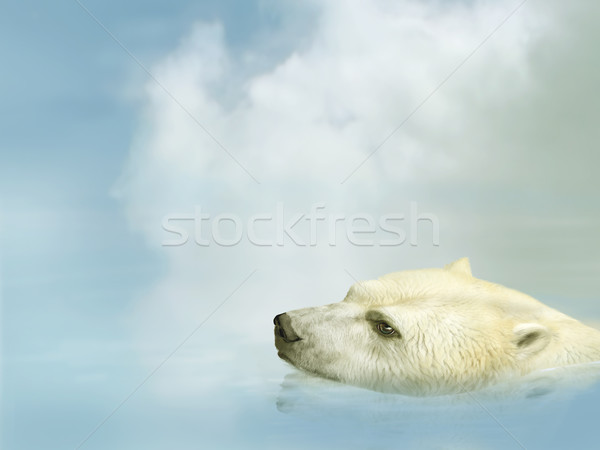 Eisbär Illustration Schwimmen Ozean Wolken Meer Stock foto © paulfleet