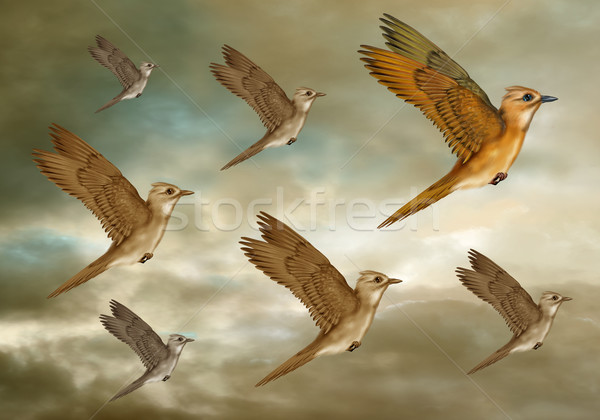 Stylized Flock of Birds Stock photo © paulfleet