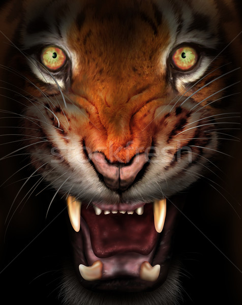 Vad tigris vad sötét árnyékok természet Stock fotó © paulfleet