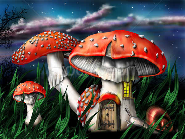 Magic grzyby ilustracja magiczny lasu trawy Zdjęcia stock © paulfleet