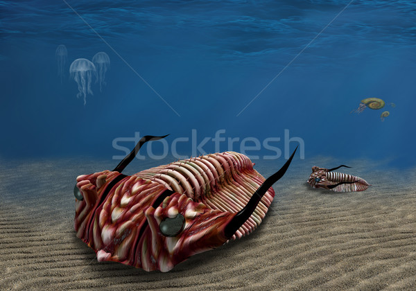 Trilobite Stock photo © paulfleet