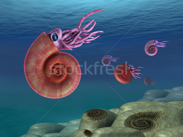 Marinha ilustração natação mar textura pedra Foto stock © paulfleet