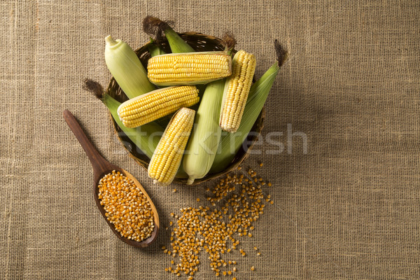 Ear of corn, revealing yellow kernels Stock photo © paulovilela