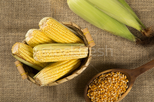 Corn maize and popcorns combined on a table.  Stock photo © paulovilela