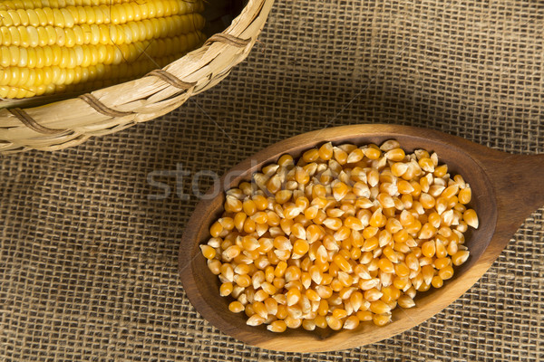 Corn maize and popcorns combined on a table.  Stock photo © paulovilela