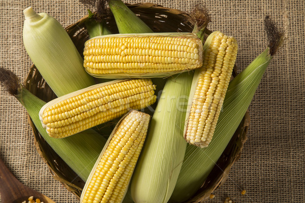 Corn maize and popcorns combined on a table.  Stock photo © paulovilela