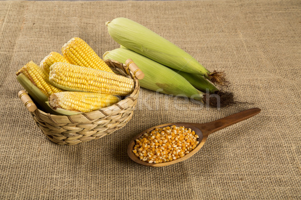 Corn maize and popcorns combined on a table.  Stock photo © paulovilela