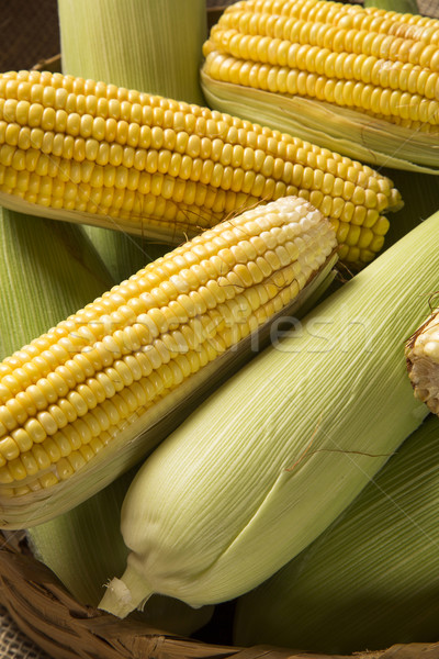 Corn maize and popcorns combined on a table.  Stock photo © paulovilela