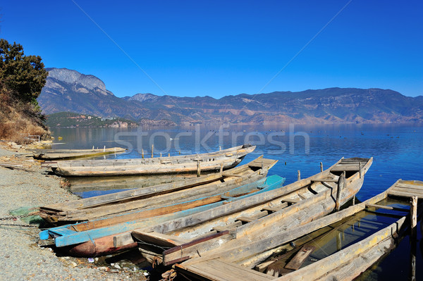 Foto stock: Lago · cielo · agua · madera · forestales · fondo