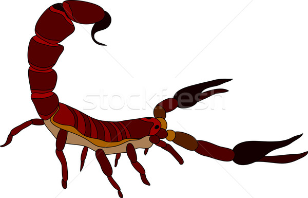 Foto stock: Escorpión · vector · color · aislado · blanco · silueta