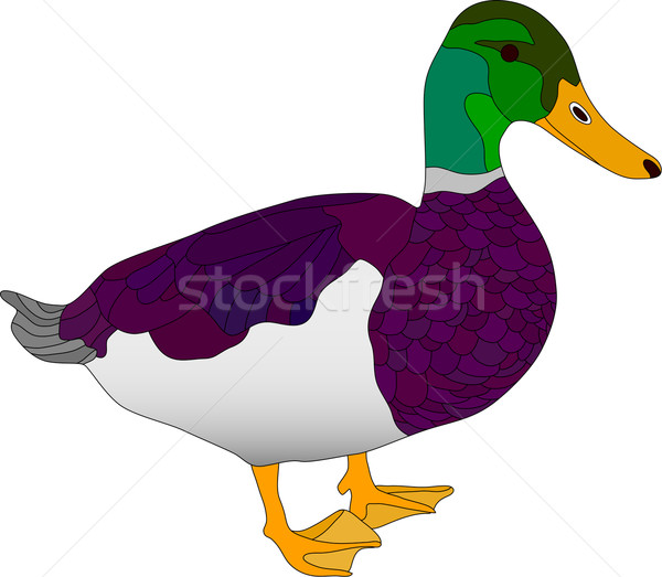drake Stock photo © pavelmidi