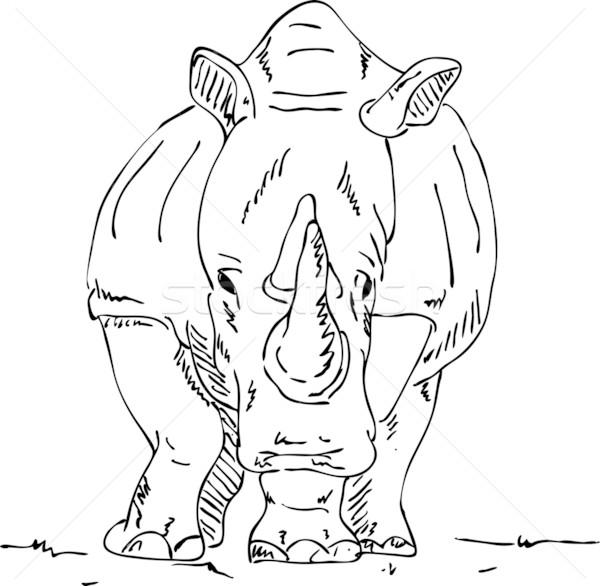 Grande rinoceronte vetor isolado pintar fundo Foto stock © pavelmidi