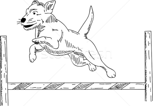 Hund Beweglichkeit Vektor Natur Geschwindigkeit schwarz Stock foto © pavelmidi