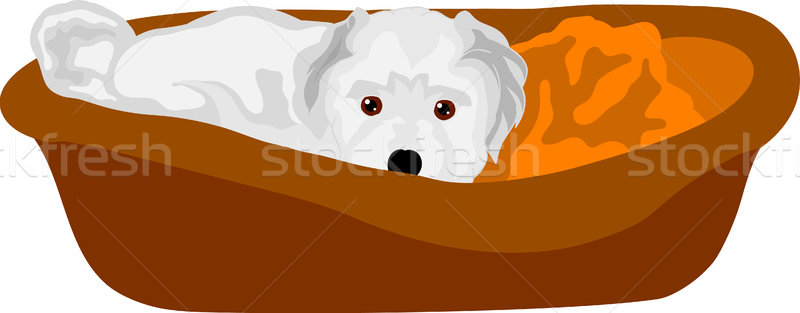 small puppy lying in cot Stock photo © pavelmidi