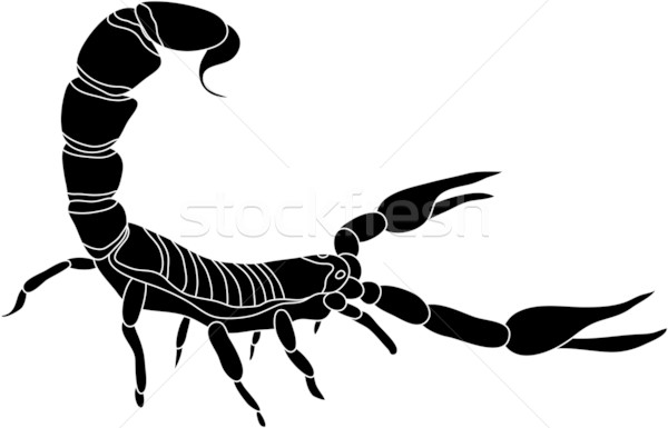 скорпион вектора цвета изолированный белый силуэта Сток-фото © pavelmidi