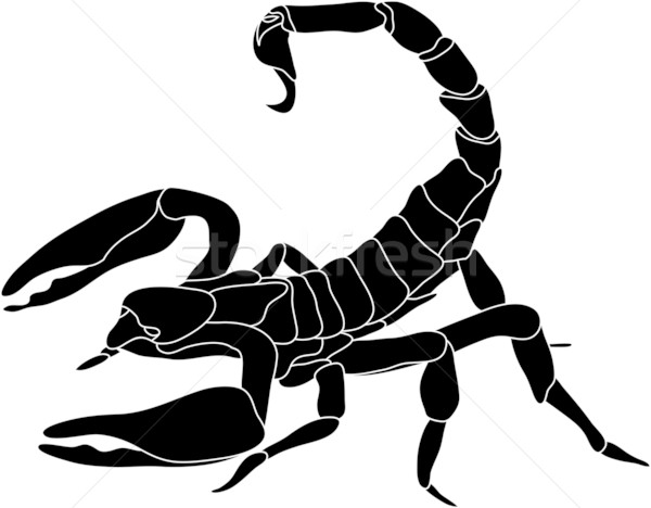 Skorpion Vektor Farbe isoliert weiß Silhouette Stock foto © pavelmidi