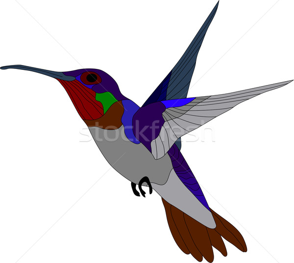 Stock photo: hummingbird