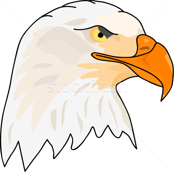 Foto stock: águila · vector · lado · cara · cabeza · naturaleza