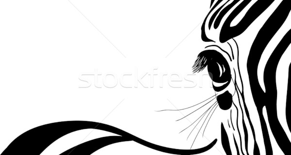 Zebra bandeira vetor abstrato natureza quadro Foto stock © pavelmidi
