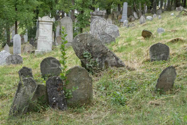 Cmentarz starych republika śmierci martwych Europie Zdjęcia stock © pavelmidi