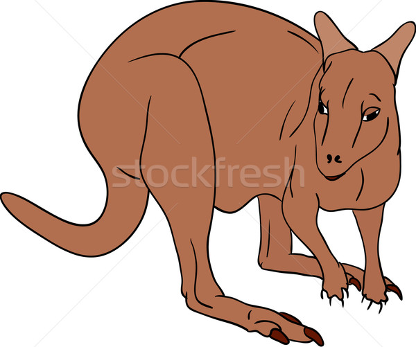 kangaroo Stock photo © pavelmidi