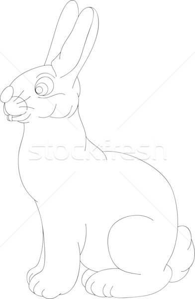 Stock photo: rabbit