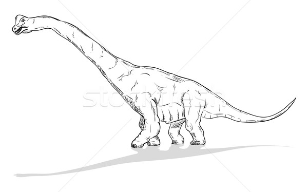 Dinossauro vetor modelo dentes cabeça animal Foto stock © pavelmidi