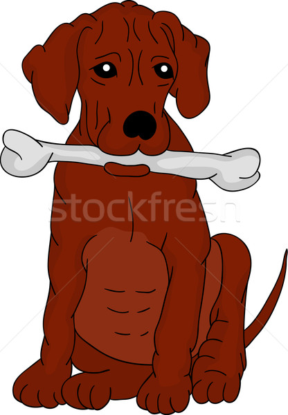 Cachorro sessão grande osso comida pintar Foto stock © pavelmidi