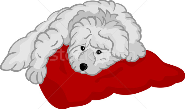 Pequeno cachorro vetor vermelho pintar relaxar Foto stock © pavelmidi