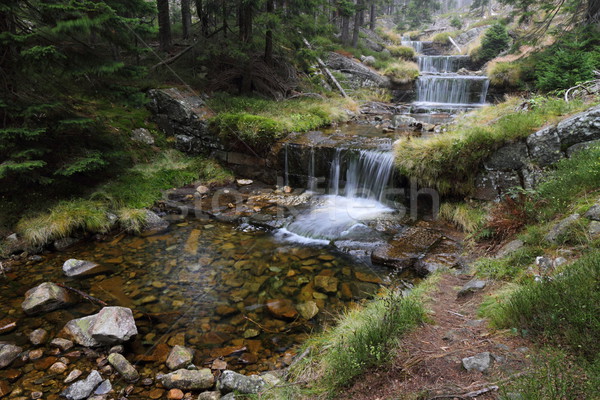 Herbst Kaskade Fluss Name Holz Stock foto © pavelmidi