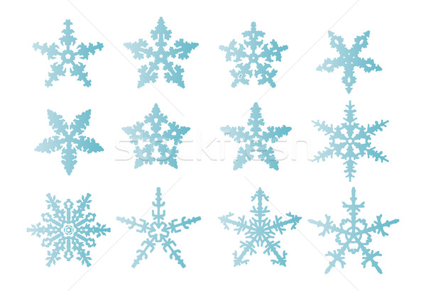 Kar taneleri yalıtılmış vektör ayarlamak doğa kar Stok fotoğraf © pavelmidi
