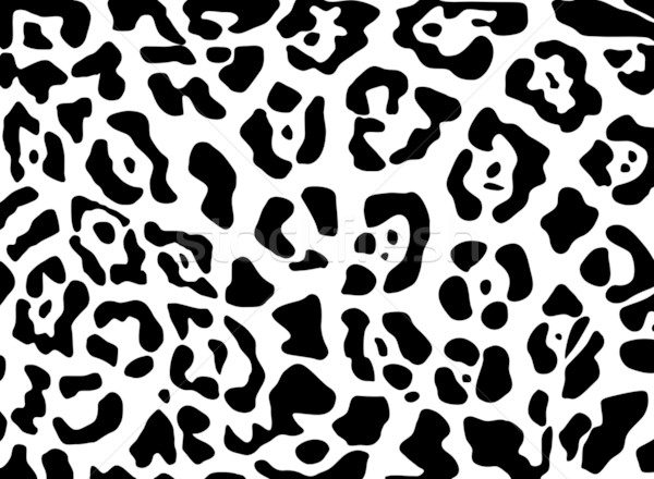 Jaguar Vektor Textur schwarz weiß isoliert Natur Stock foto © pavelmidi