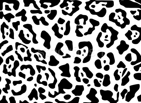 Jaguar vetor textura preto e branco isolado natureza Foto stock © pavelmidi
