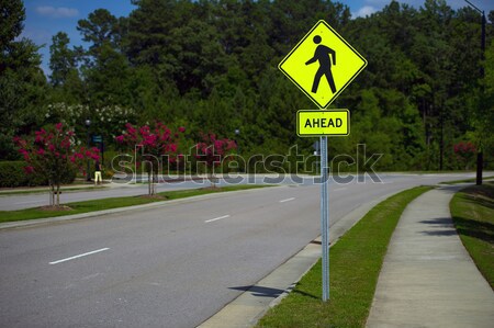 Pedestrian crossing Stock photo © pazham