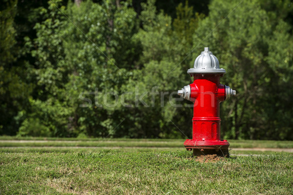 Fire Hydrant Stock photo © pazham