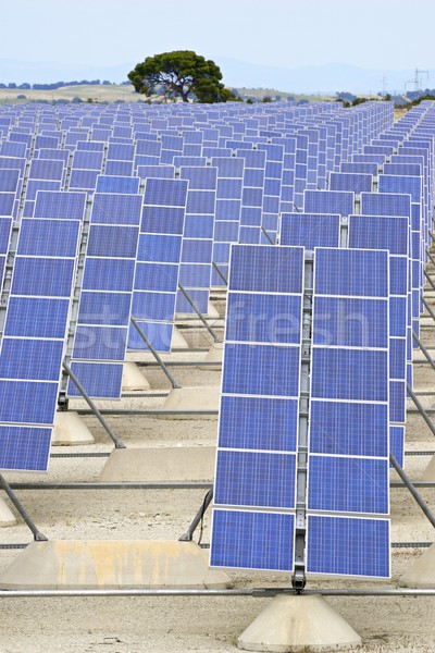 Solarenergie Photovoltaik erneuerbar elektrische Produktion Technologie Stock foto © pedrosala