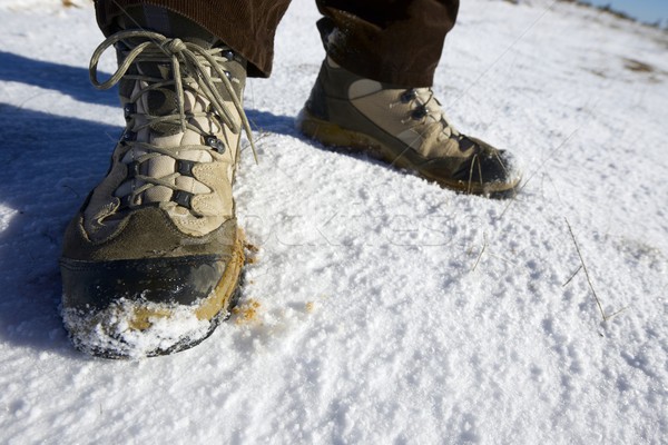 Hiking boots Stock photo © pedrosala