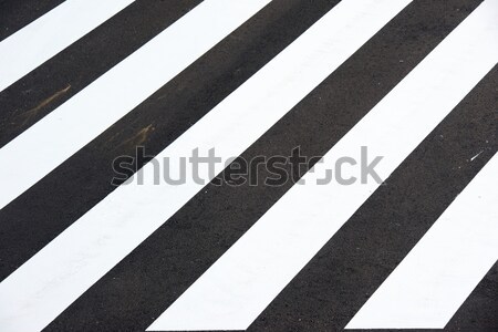 Zebra crossing Stock photo © pedrosala