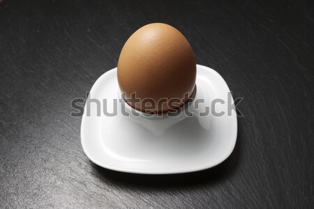 Egg Stock photo © pedrosala