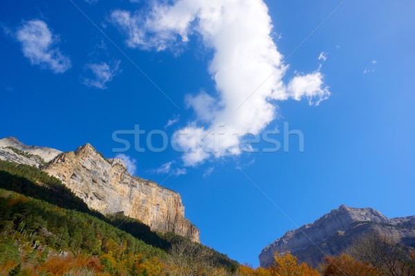 Pyrenees Stock photo © pedrosala