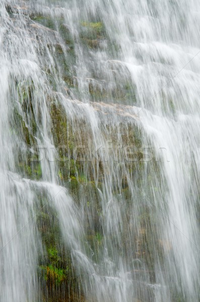 Cola cascata parco acqua natura fiume Foto d'archivio © pedrosala