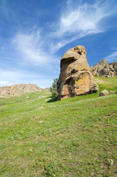 Mongolian landscape Stock photo © pedrosala