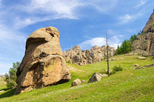 Mongolian landscape Stock photo © pedrosala