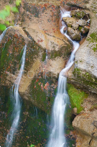 Ordesa National Park Stock photo © pedrosala