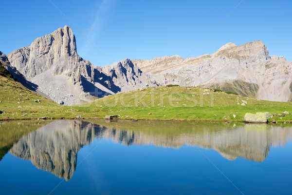 Pyrenees Stock photo © pedrosala
