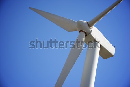 windmill Stock photo © pedrosala