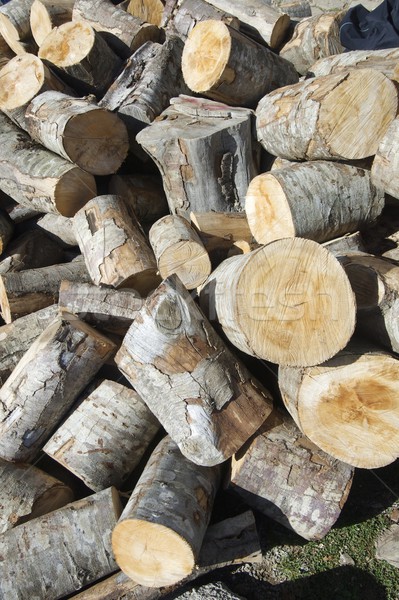 wooden logs Stock photo © pedrosala