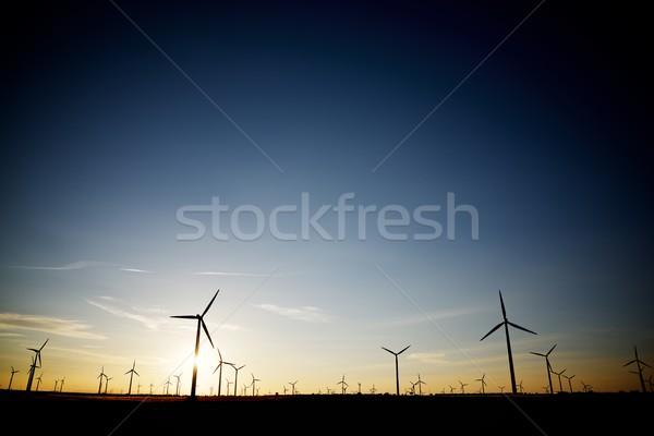 ストックフォト: 風 · エネルギー · 電気 · 電源 · 生産 · 日没