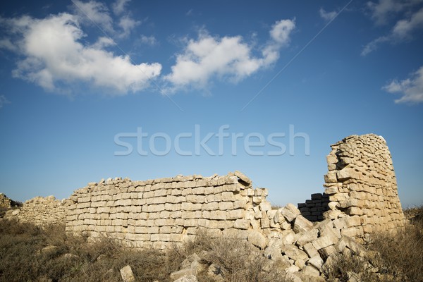 Rural building ruin Stock photo © pedrosala